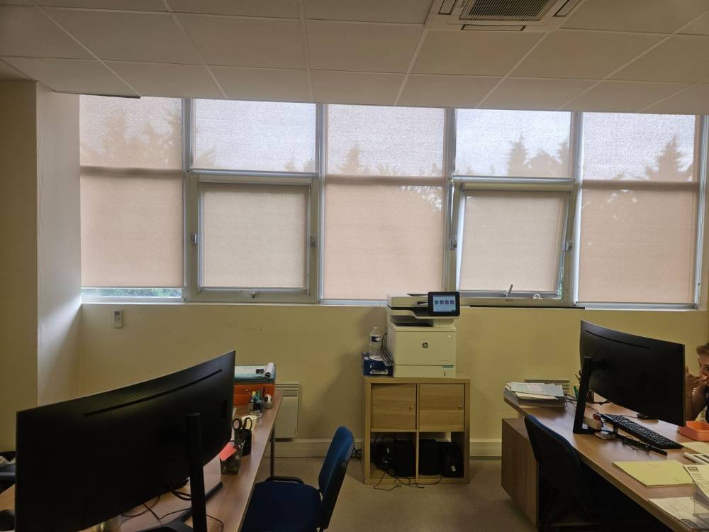1eea2de3-d14c-4081-abdd-777dbe82509a.JPG